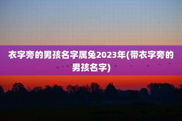 衣字旁的男孩名字属兔2023年(带衣字旁的男孩名字)
