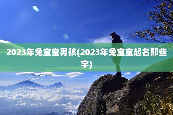 2023年兔宝宝男孩(2023年兔宝宝起名那些字)