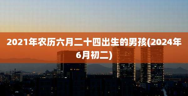 2021年农历六月二十四出生的男孩(2024年6月初二)
