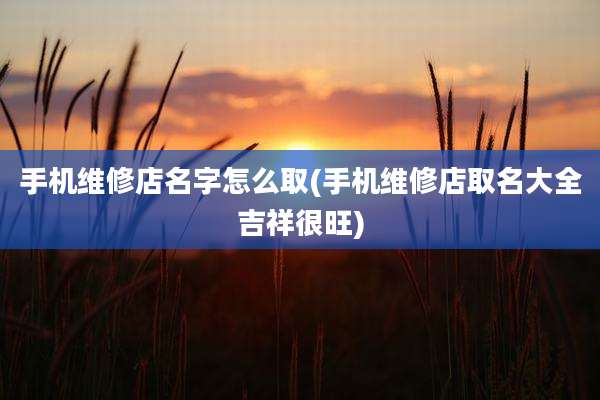 手机维修店名字怎么取(手机维修店取名大全吉祥很旺)