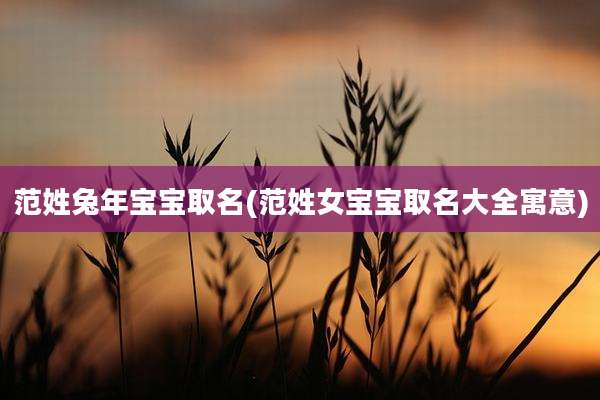 范姓兔年宝宝取名(范姓女宝宝取名大全寓意)