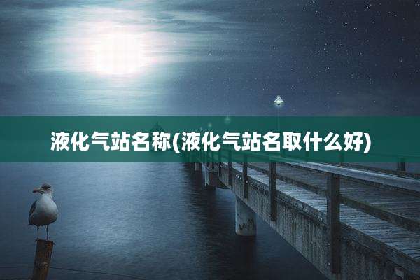 液化气站名称(液化气站名取什么好)