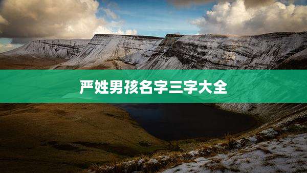 严姓男孩名字三字大全