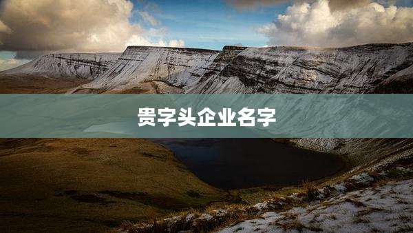 贵字头企业名字