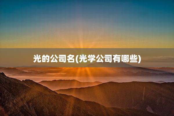 光的公司名(光学公司有哪些)