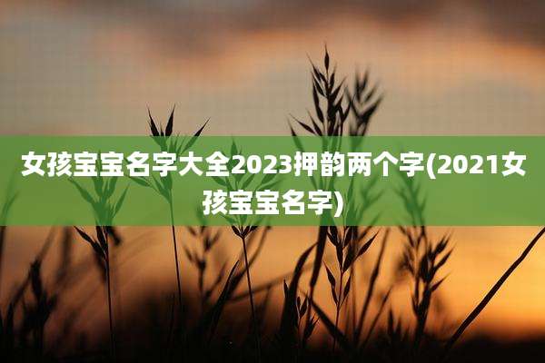 女孩宝宝名字大全2023押韵两个字(2021女孩宝宝名字)
