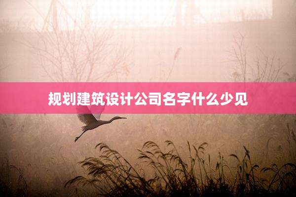 规划建筑设计公司名字什么少见