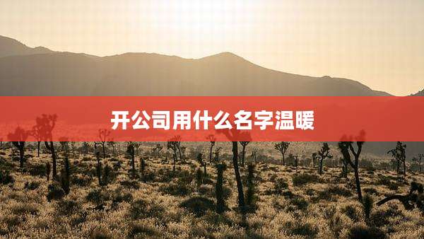 开公司用什么名字温暖