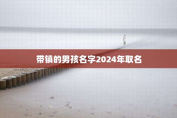 带镇的男孩名字2024年取名