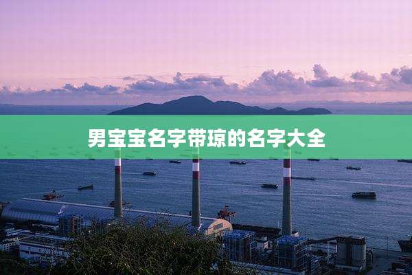 男宝宝名字带琼的名字大全