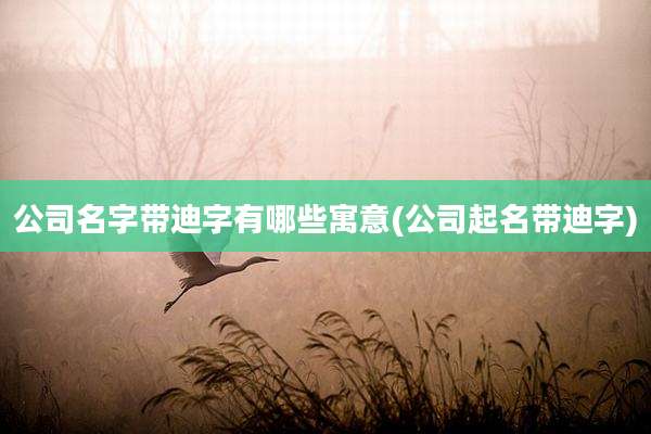 公司名字带迪字有哪些寓意(公司起名带迪字)