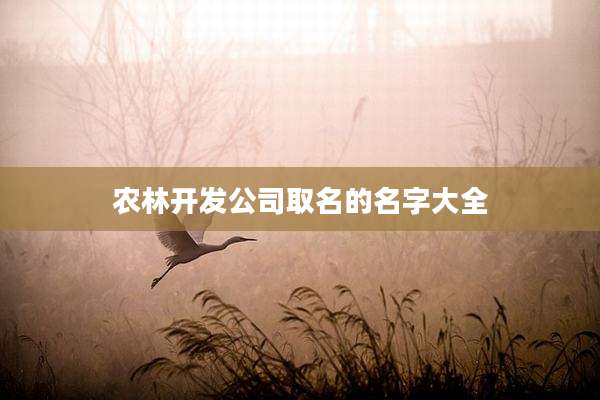 农林开发公司取名的名字大全