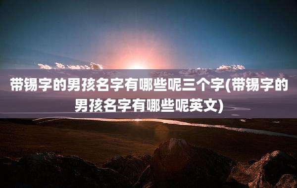 带锡字的男孩名字有哪些呢三个字(带锡字的男孩名字有哪些呢英文)