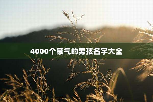 4000个豪气的男孩名字大全