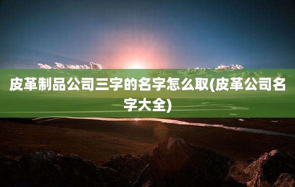 皮革制品公司三字的名字怎么取(皮革公司名字大全)
