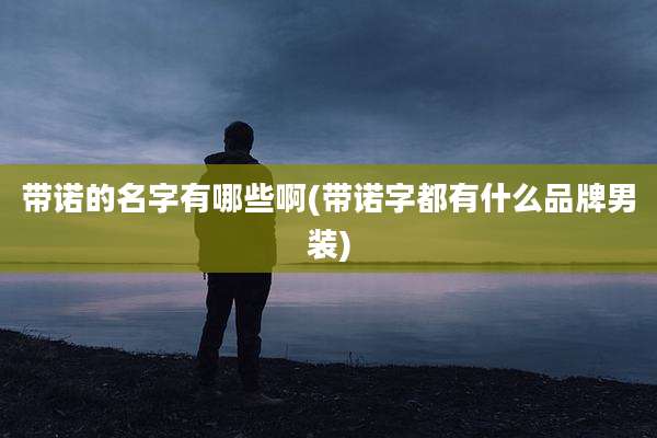带诺的名字有哪些啊(带诺字都有什么品牌男装)