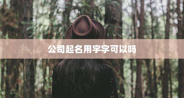 公司起名用宇字可以吗