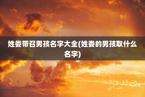 姓娄带召男孩名字大全(姓娄的男孩取什么名字)