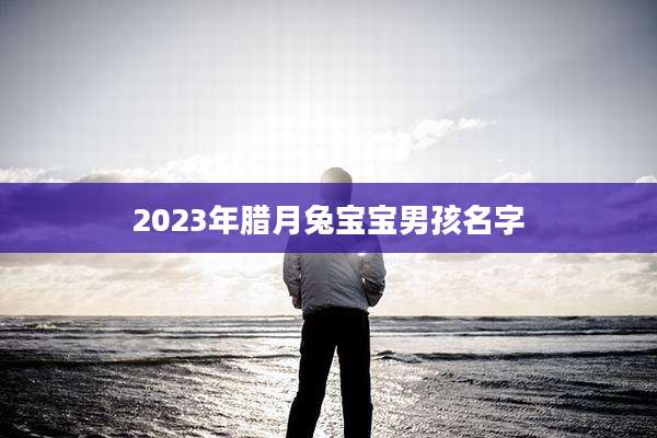 2023年腊月兔宝宝男孩名字