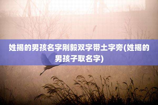 姓揭的男孩名字刚毅双字带土字旁(姓揭的男孩子取名字)