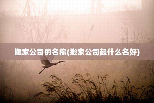 搬家公司的名称(搬家公司起什么名好)