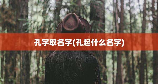 孔字取名字(孔起什么名字)