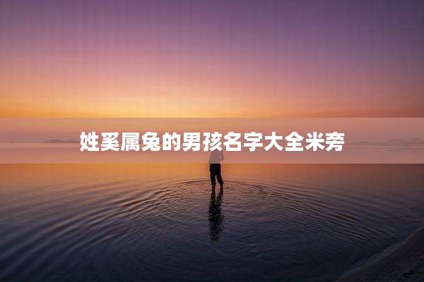姓奚属兔的男孩名字大全米旁