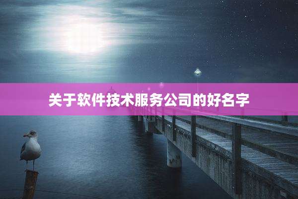 关于软件技术服务公司的好名字