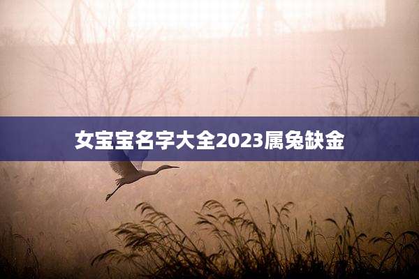 女宝宝名字大全2023属兔缺金