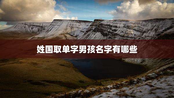 姓国取单字男孩名字有哪些
