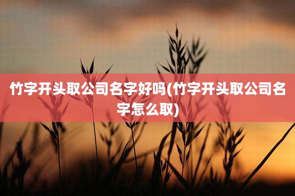 竹字开头取公司名字好吗(竹字开头取公司名字怎么取)