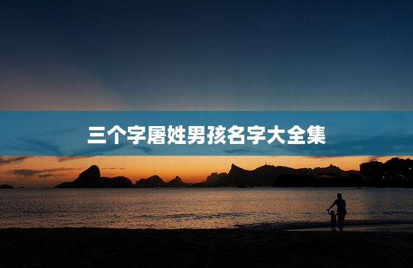 三个字屠姓男孩名字大全集