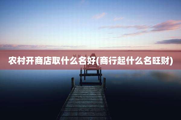 农村开商店取什么名好(商行起什么名旺财)
