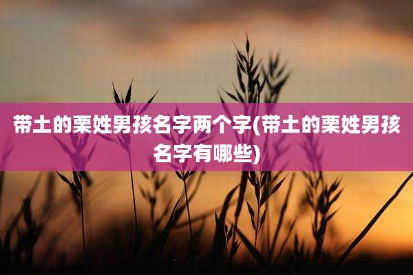 带土的栗姓男孩名字两个字(带土的栗姓男孩名字有哪些)