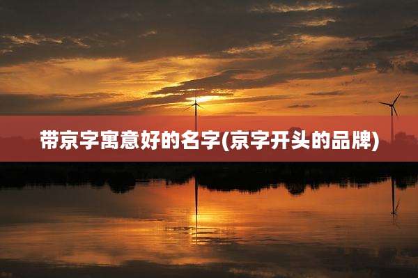 带京字寓意好的名字(京字开头的品牌)