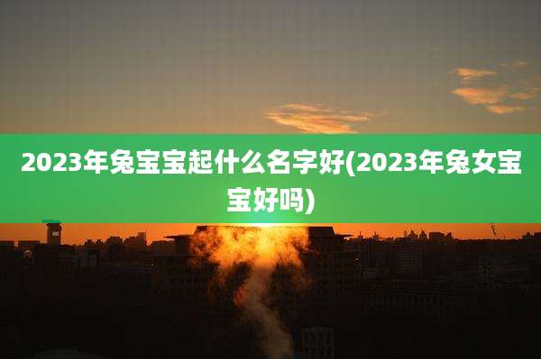 2023年兔宝宝起什么名字好(2023年兔女宝宝好吗)