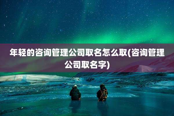 年轻的咨询管理公司取名怎么取(咨询管理公司取名字)