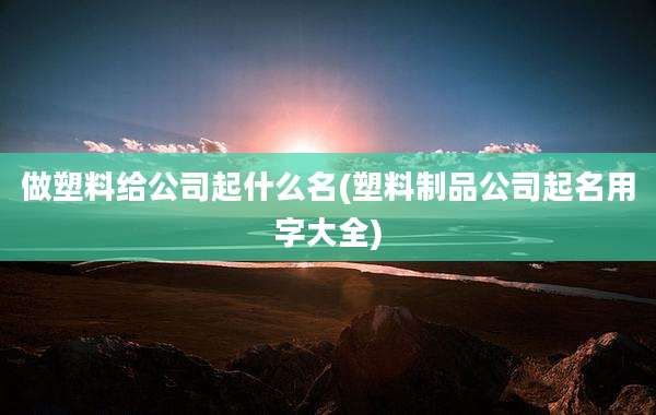 做塑料给公司起什么名(塑料制品公司起名用字大全)