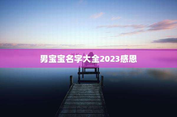 男宝宝名字大全2023感恩