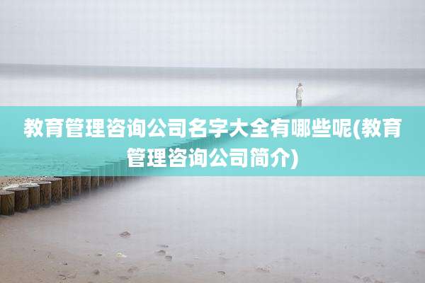 教育管理咨询公司名字大全有哪些呢(教育管理咨询公司简介)