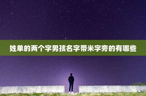 姓单的两个字男孩名字带米字旁的有哪些