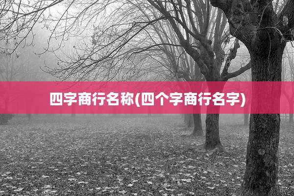 四字商行名称(四个字商行名字)
