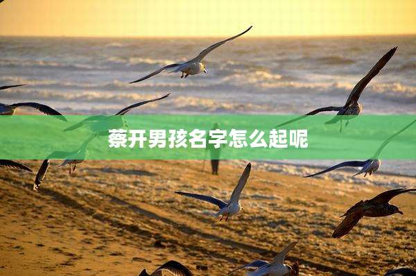 蔡开男孩名字怎么起呢
