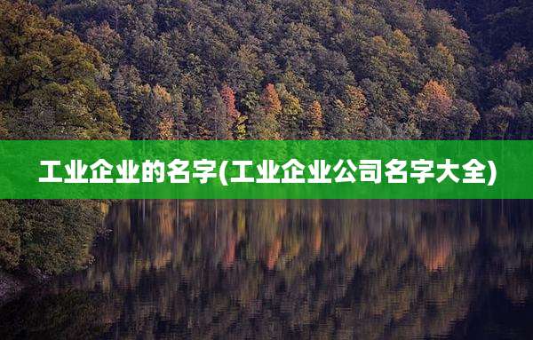 工业企业的名字(工业企业公司名字大全)