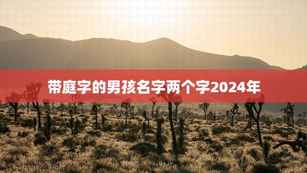 带庭字的男孩名字两个字2024年