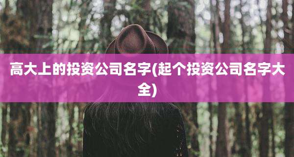 高大上的投资公司名字(起个投资公司名字大全)