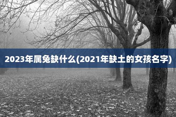 2023年属兔缺什么(2021年缺土的女孩名字)