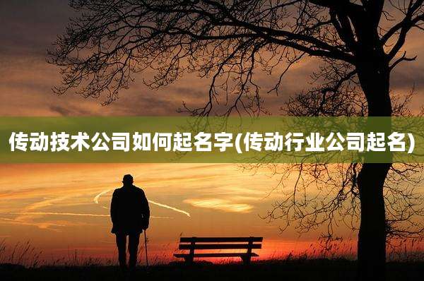 传动技术公司如何起名字(传动行业公司起名)