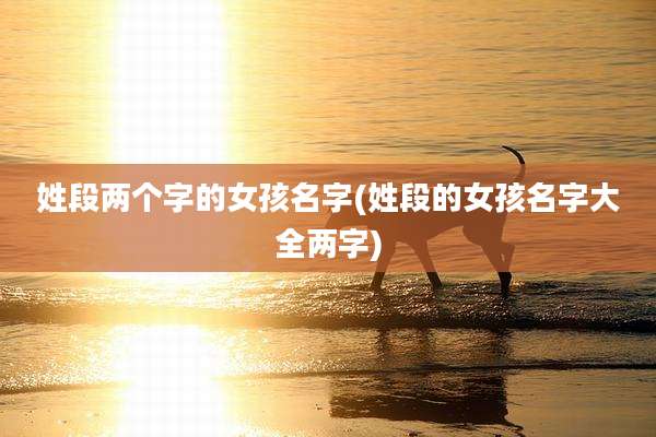 姓段两个字的女孩名字(姓段的女孩名字大全两字)