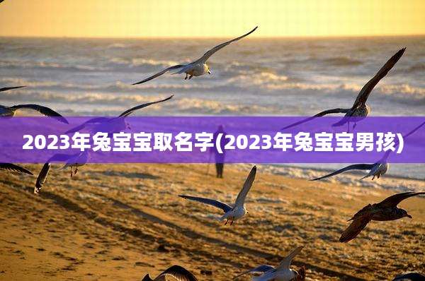 2023年兔宝宝取名字(2023年兔宝宝男孩)
